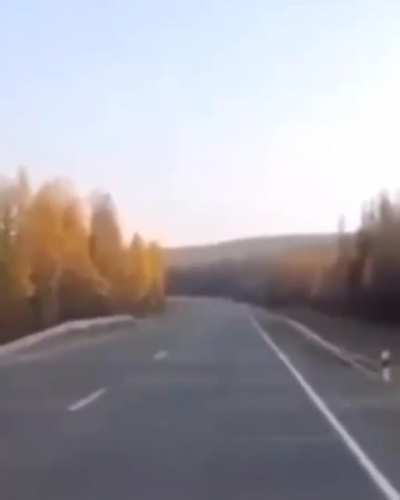 Close call ?? ?