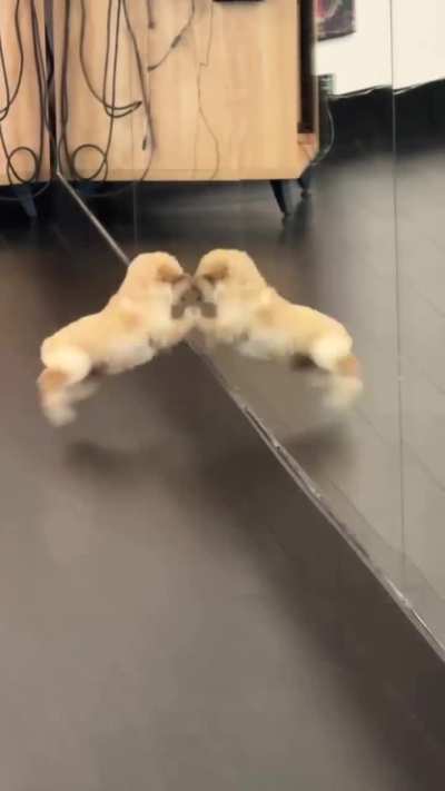 Soo cute ?? reaction