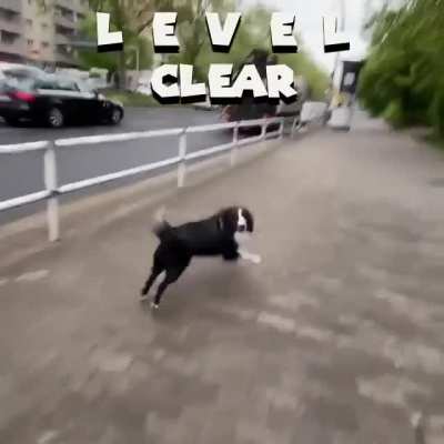 Super Pawiro!