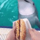 Give me Da fish