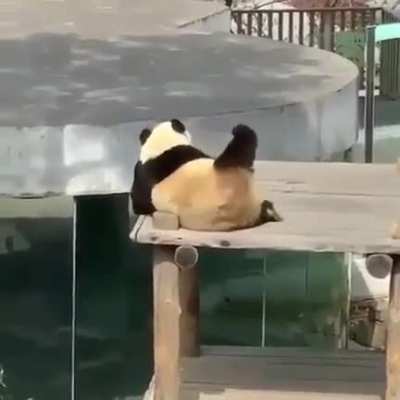 Let's do BOOTY ROOB