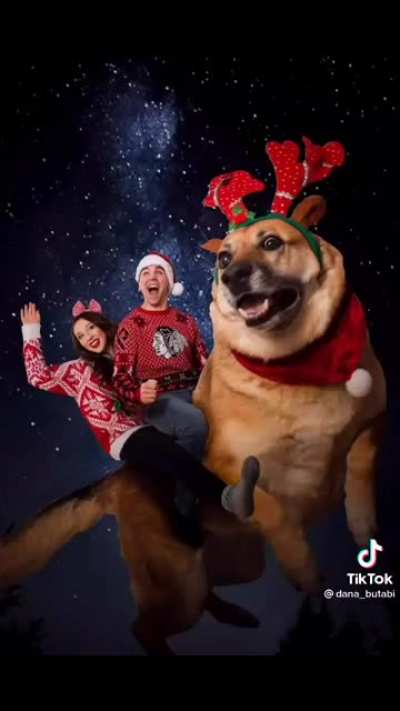 Star of every holiday card
