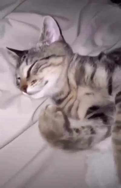 ?
