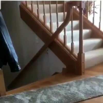 Surprise motherf...
