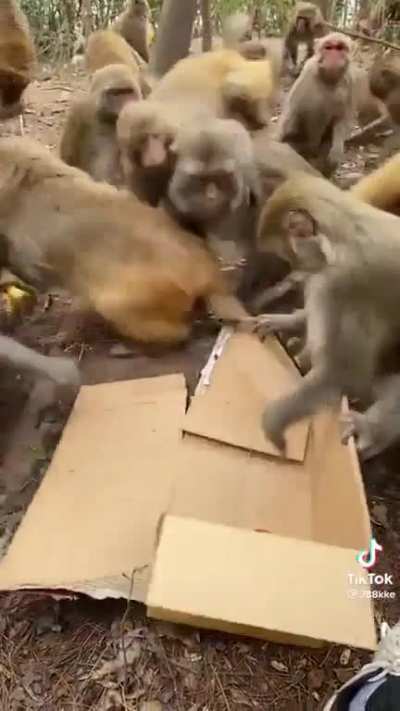 Giving some treats