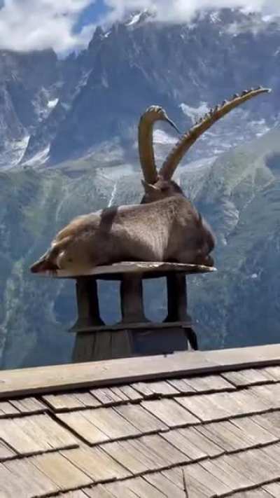 ?Majestic view