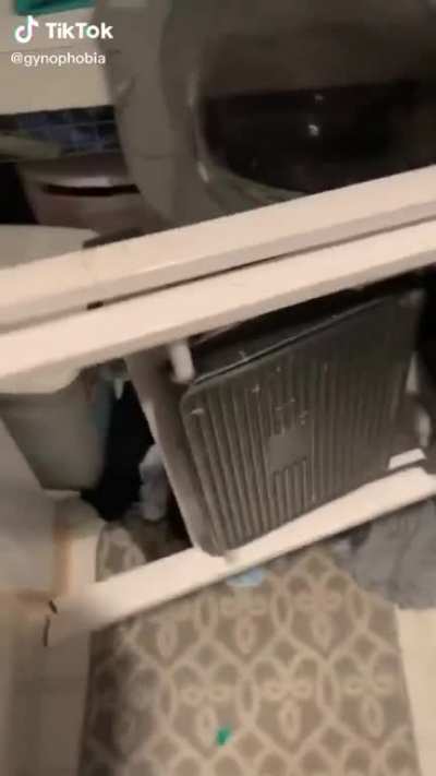Oh silly step ladder ?