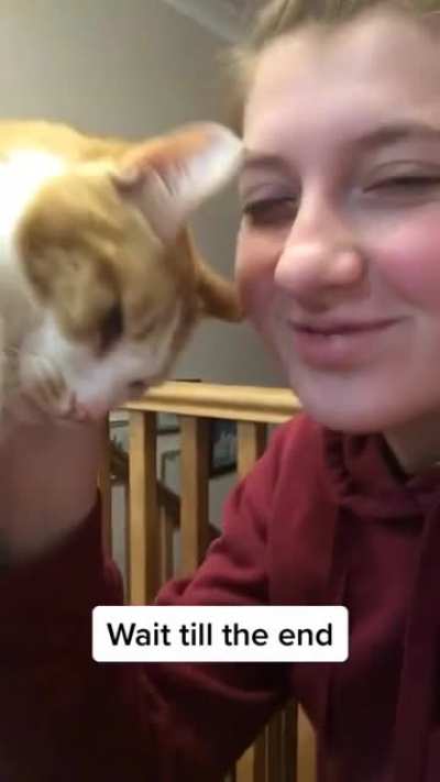 "I love you!... but now I hate you"