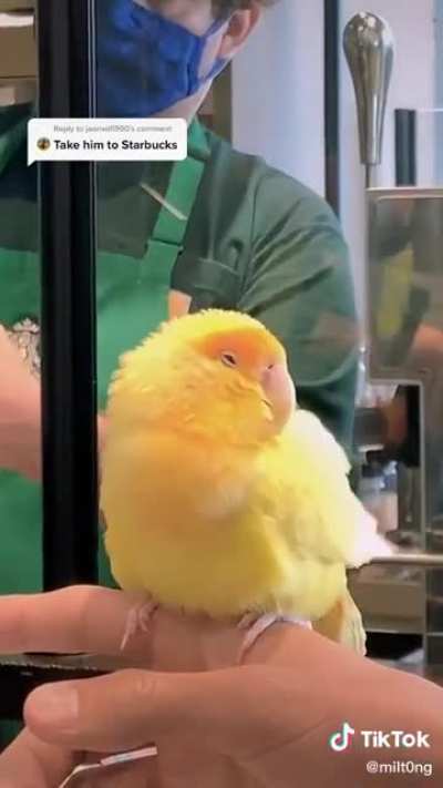 He didn't get him any of that cheep shit