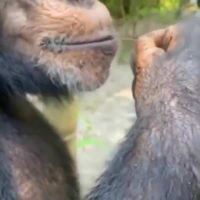 "Want a cherry? No? Okay fren." *patpat*