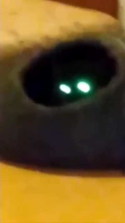 She has Awoken