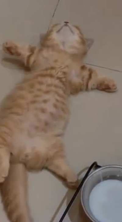 Eat, drink, sleep, repeat