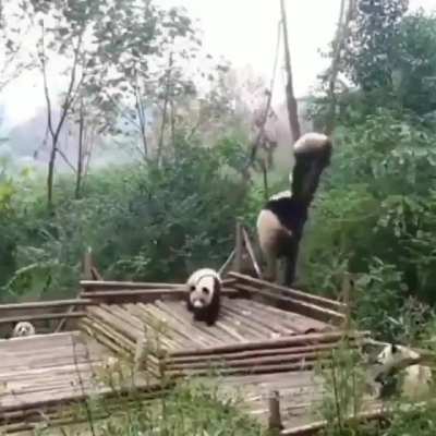 "Could you fucking not, Alan"