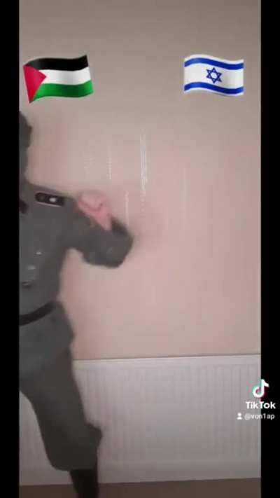 how is this allowed on TikTok tho
