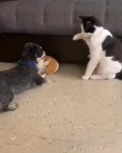 maybe maybe maybe