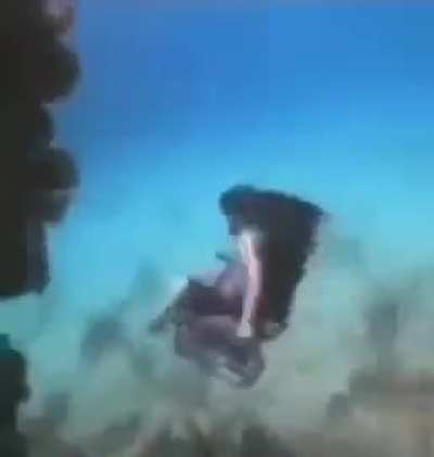 Subnautica ?