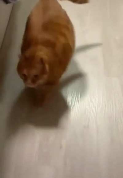 To surprise attack