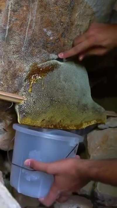 Harvesting honey while being friends with the bees