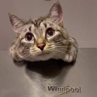 Mama..whatcha doing? *taptaptap*