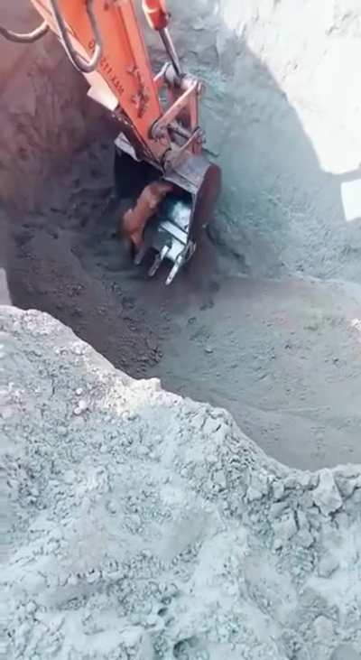 Everything went a'OK except for the landing
