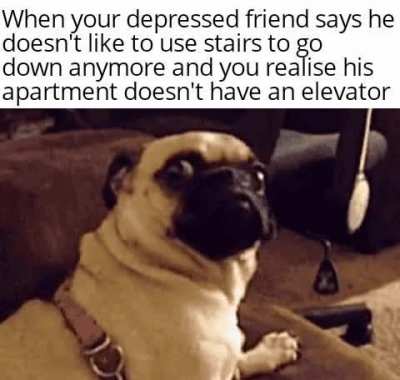 something is wrong