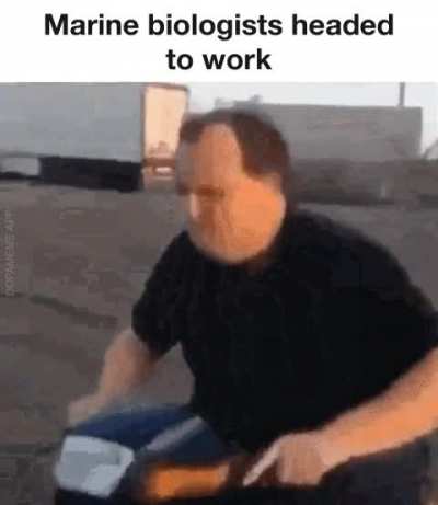 9:00 AM