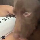 Smooth moves doggie