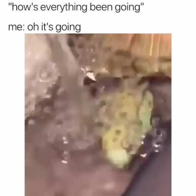 They see me rolling...