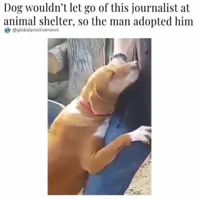Wholesome 100