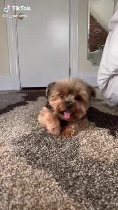 Cutest thing I've seen all week!