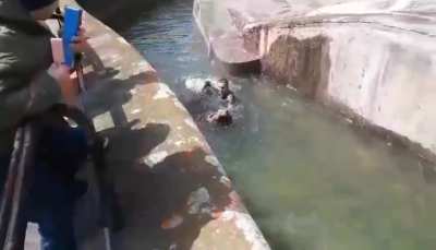 Drunk man versus presumably sober bear