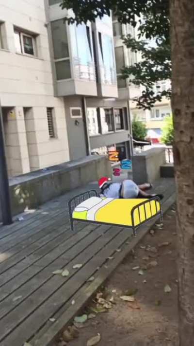 WCGW jumping and aiming for a pole that is just out of reach