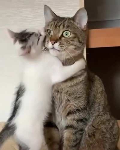 "Why did I have kids?"