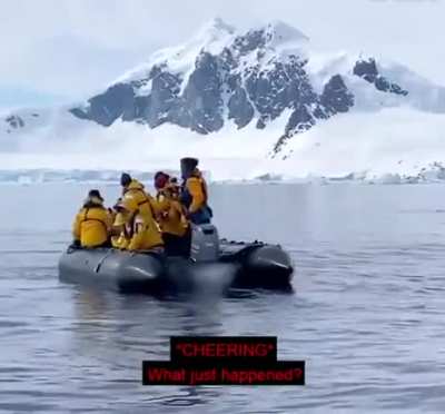 Saving the life of a Penguin from an Orca