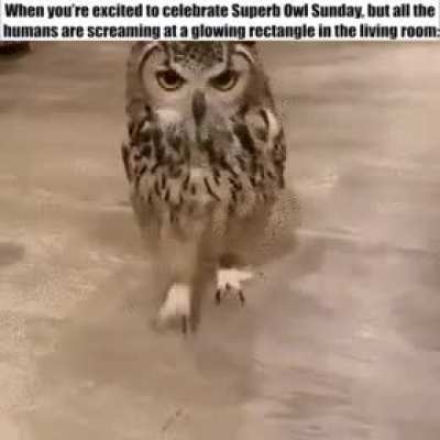*Confused sadness*