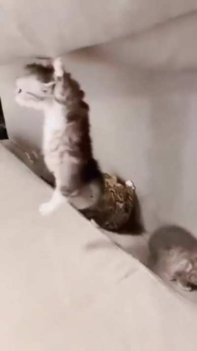 Put me down