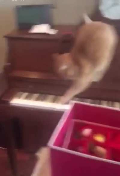 Most talented boy on the planet