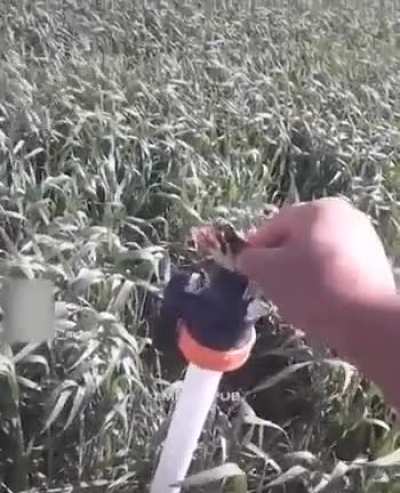 I was like "BITE BITE BITE BITE"