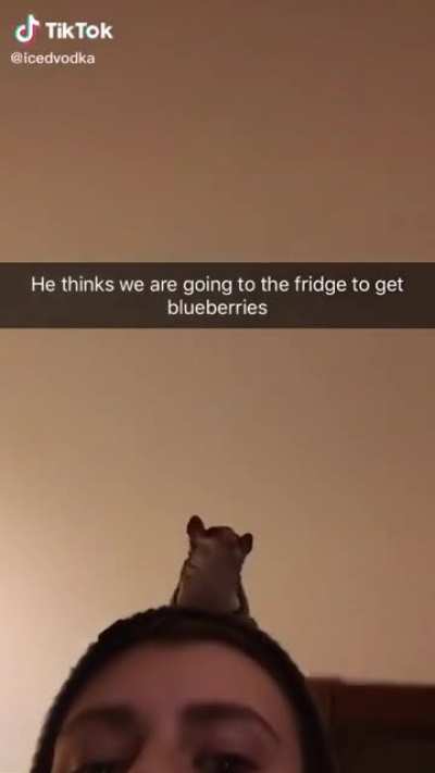 what a good boy