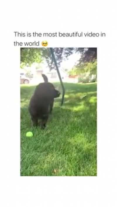 Awww ???