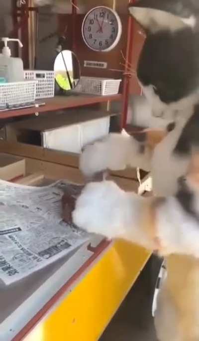 Maybe Maybe Maybe