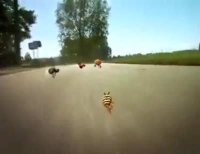 ?????⬆️