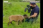 Trying to get the perfect shot