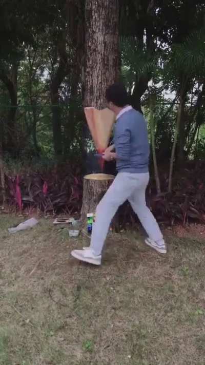This man turned a Tree into Pure Art...so satisfying transformation