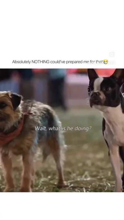 The Ending got me