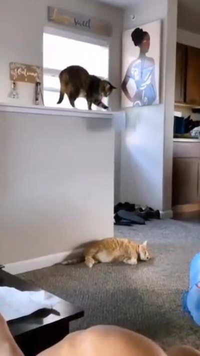to sleep