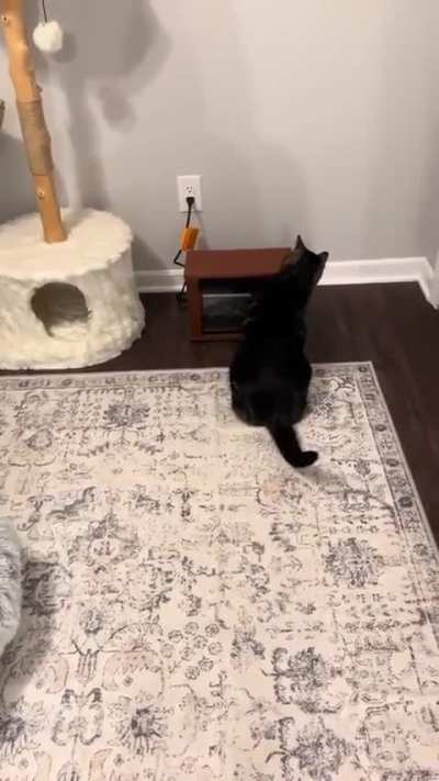 Milo and his fireplace