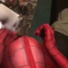 Forever spiderman