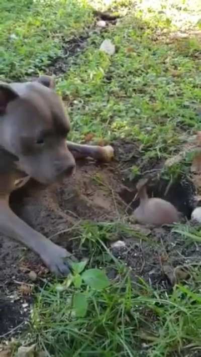 “Get off my property”