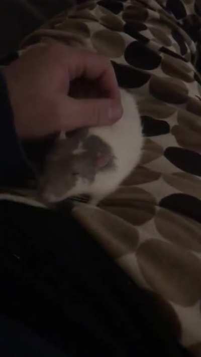 It’s cuddle time!